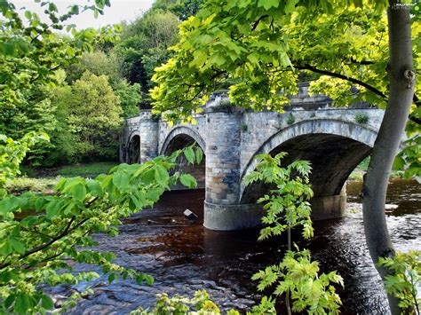 Viewes Landscape River Trees Bridge For Phone Wallpapers X