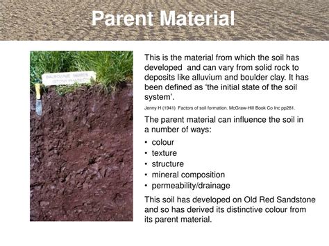 PPT An Introduction To Soils And Soil Terminology PowerPoint