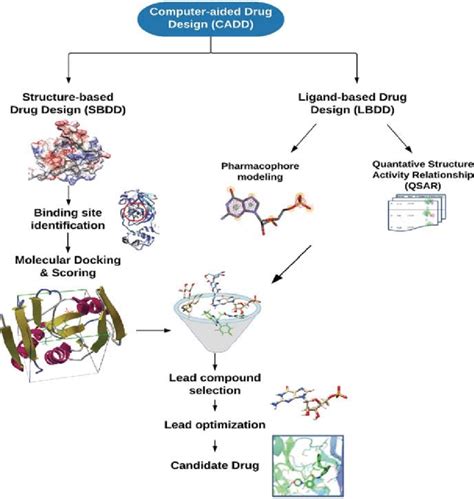 1 Overview Of Typical Cadd Workflow Download Scientific Diagram