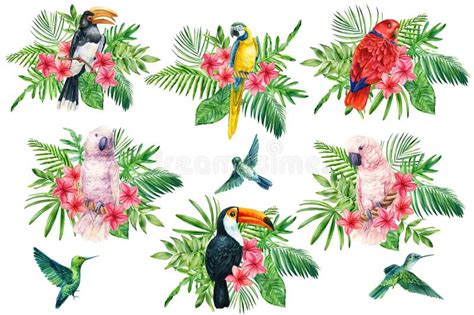 Toucan Hibiscus Flowers And Palm Leaves On Isolated White Background