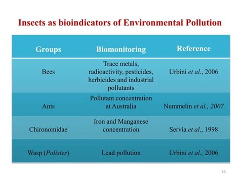 Insects As Pollution Indicators Ppt