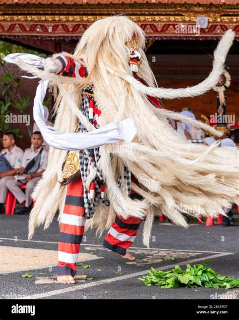 Barong Und Rangda Tanzen Fotos Und Bildmaterial In Hoher Aufl Sung