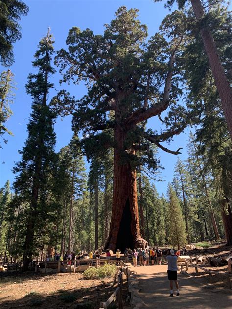 Climate change causing irreversible damage to Yosemite National Park