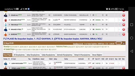 Ekim Per Embe Ankara At Yar Tahminleri Ankara Alt L Ganyan