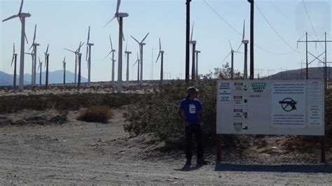 Trip To Huge Forest Of Giant Wind Turbines Wind Turbine Turbine Trip