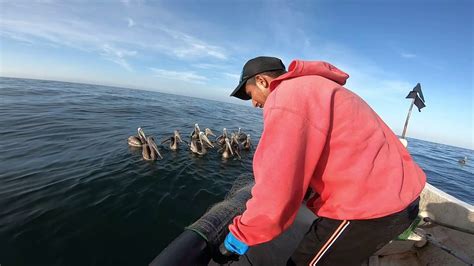 Un D A De Pesca En Alta Mar Levantando Las Redes Youtube