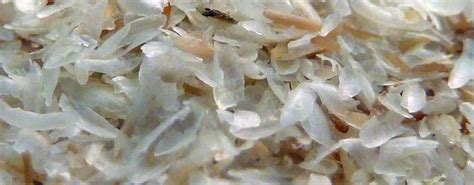 Need more fiber? Here's our review of psyllium husk benefits.