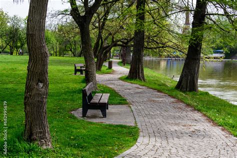 Landscape With Alley And Many Large Old Trees And Green Grass On The