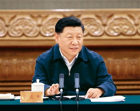 学习贯彻习近平总书记重要讲话精神 巩固深化党和国家机构改革成果 中青在线