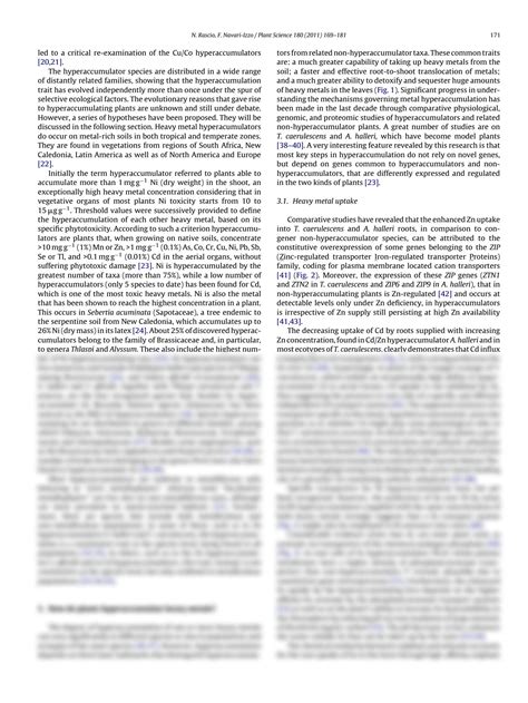 Solution Heavy Metal Hyperaccumulating Plants How And Why Do They Do