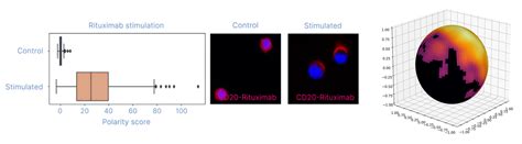 Single Cell Spatial Proteomics By Molecular Pixelation