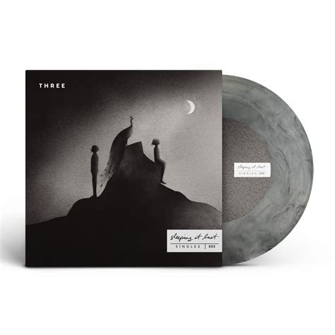 Enneagram 3” 7 Vinyl Sleeping At Last