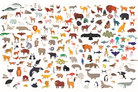 Big animal collection Jigsaw Puzzle (For children, Educational ...