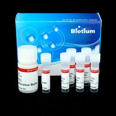 TUNEL Assay Apoptosis Detection Kit - Biotium