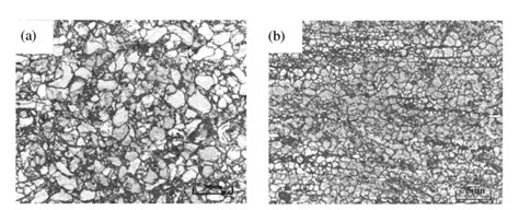 Optical Microstructure Of The Az80 Alloy A Hydrostatic And B