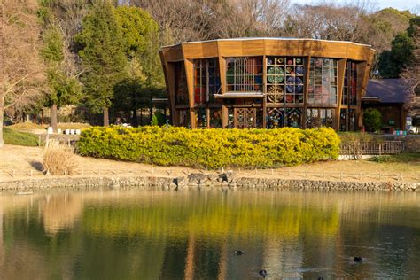 於大公園（1月）愛知県知多郡の観光・撮影スポットの名所 東海カメラマップ