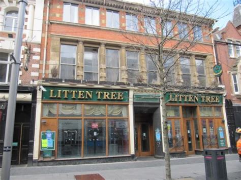 Litten Tree Leicester