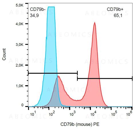 anti cdb monoclonal antibody hmpe conjugate