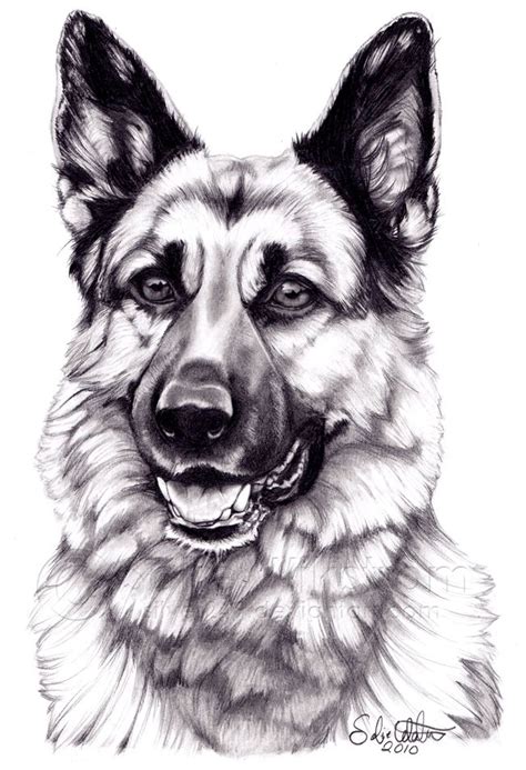 German Shepherd Dog by ArtOfAProcrastinator.deviantart.com on ...