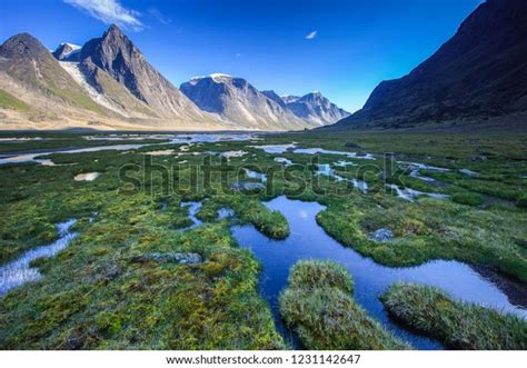 Marshy Landscape Along Trail Akshayuk Pass Stock Photo 1231142647