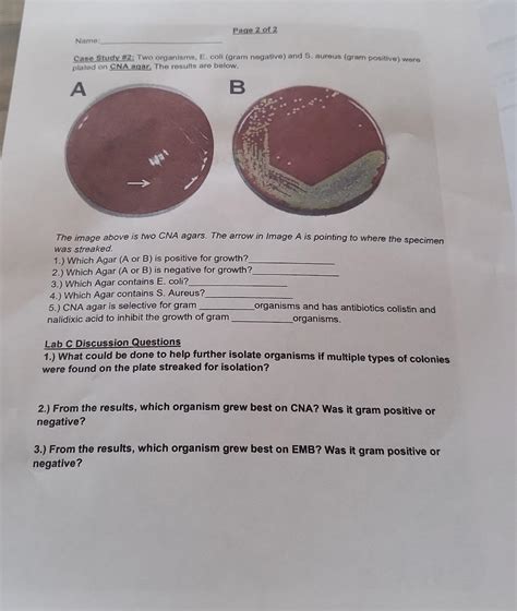 Solved Case Study #2: Two organisms, E. coli (gram negative) | Chegg.com