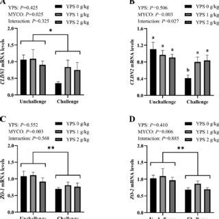 Effects Of YPS On MRNA Expressions Of Tight Junction Proteins In