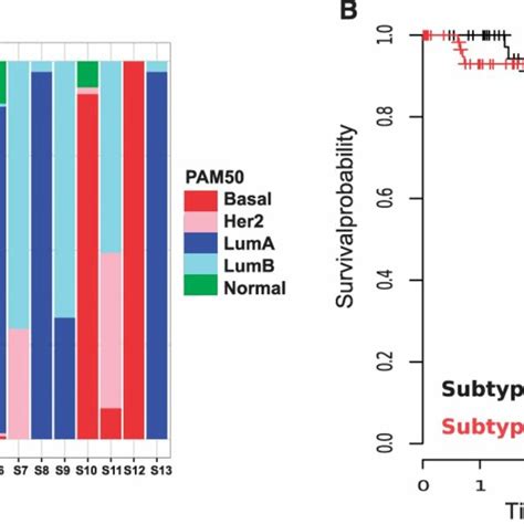 A Distribution Of Pam50 Samples In The Identified Subtypes B Download Scientific Diagram