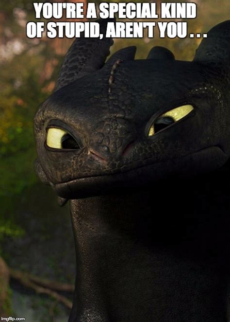 Toothless Memes And S Imgflip