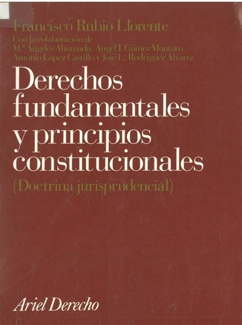 11 69 DERECHOS FUNDAMENTALES Y PRINCIPIOS CONSTITUCIONALES Icajaen Es