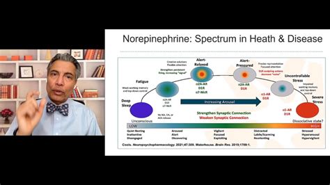 Norepinephrine In Health and Disease - YouTube