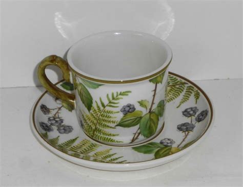 Villeroy And Boch China Forsa Cup And Saucer Fern Pattern