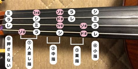 【画像あり】ヴァイオリンのドレミ音階はどう弾く？ポジションを解説 Musica Per Adulti