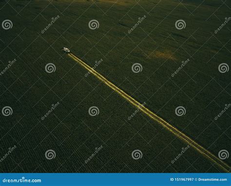 Milho Da Segadora No Campo Tiro A Reo Do Zang O Imagem De Stock