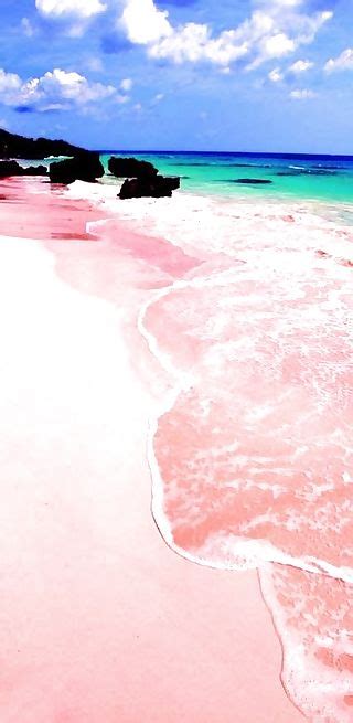 Horseshoe bay bermuda pink sand beaches - Nupics.pro