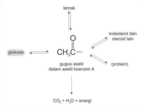 Struktur Molekul Karbohidrat – Kimia Organik – Caiherang