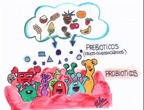 Dominio Bacteria Beneficios Y Prejuicios De Las Bacterias