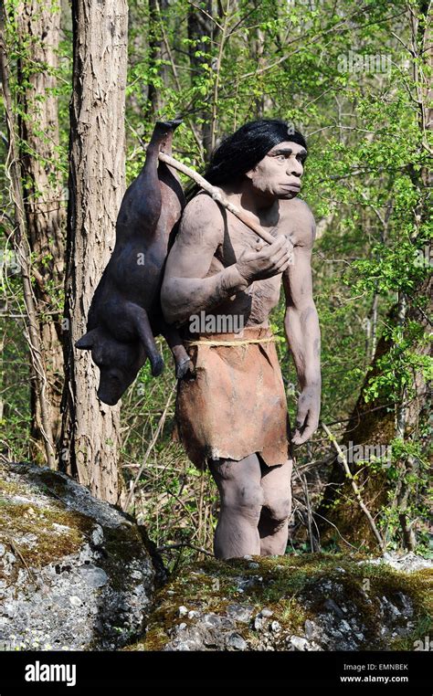 Neanderthal With The Neanderthal Prehistoric Man Hi Res Stock