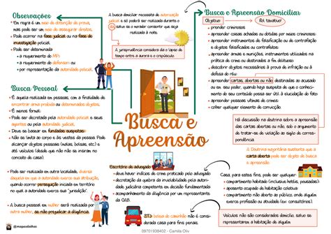 Mapa Mental Busca E Apreensao V Direito Penal Para Concursos