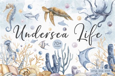 Undersea World | Ocean Watercolor Clipart Set - Design Cuts