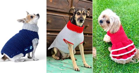 30 Free Crochet Dog Sweater Patterns (Easy Pattern)