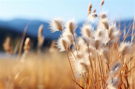 Un Campo De Hierba Alta Con Monta As Al Fondo Foto Premium