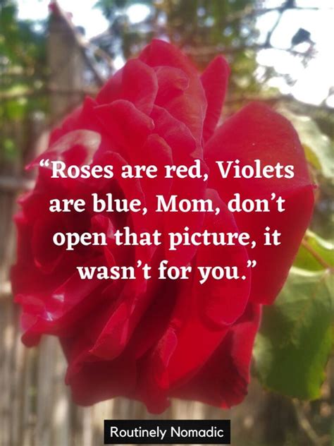 Roses Are Red Violets Blue Dirty Love Poems | Sitedoct.org