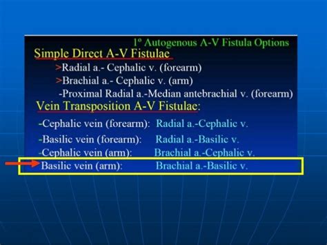 Basilic vein transposition