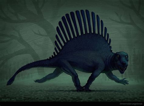 Art New Dimetrodon Illustration By Antonin Jury Dimetrodon Limbatus