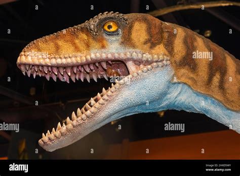 England, Isle of Wight, Sandown, Dinosaur Isle Museum, Model of a ...