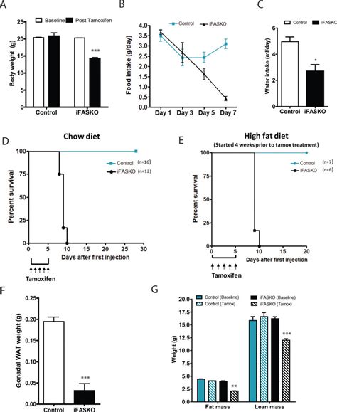 Tamoxifen Inducible Fas Knockout In Adult Mice Is Lethal A Body