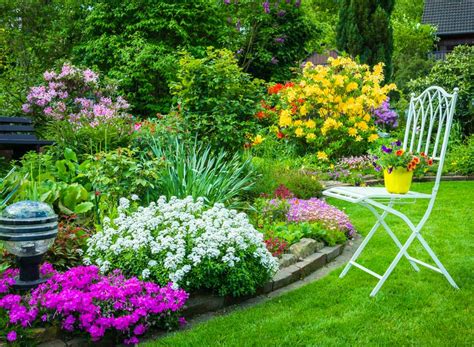 Фамильный питомник "Воронцово" |Рассада|Пермь