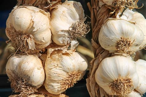 Aglio Bucce A Cosa Ti Possono Servire