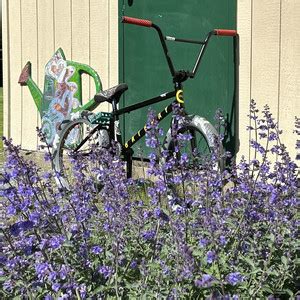 Fuck It We Ball Playlist By Tripz So Spotify