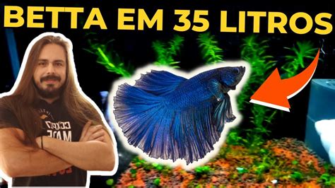 AQUÁRIO DE BETTA DE 35 LITROS DO INSCRITO JAMES Mr Betta YouTube